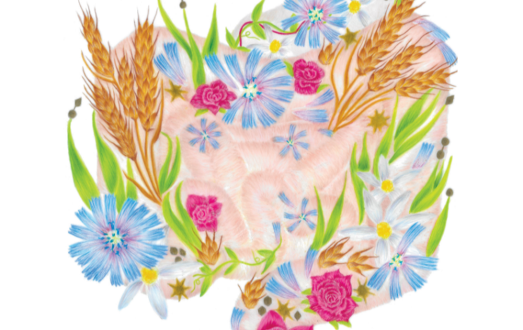 Promotie Mara van Trijp: Studies on non-digestible carbohydrates in the human intestine.