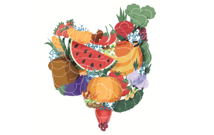 Mini-symposium diet and the gut: more than a gut feeling?