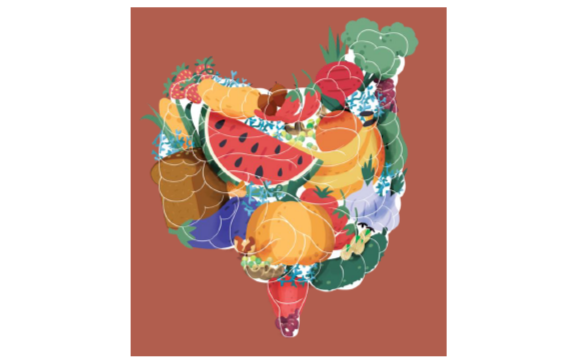 Promotie Iris Rijnaarts:  “The interplay between diet, gastrointestinal complaints and gut microbiota: more than a gut feeling?”