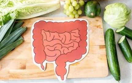 Voeding en darmmicrobioom