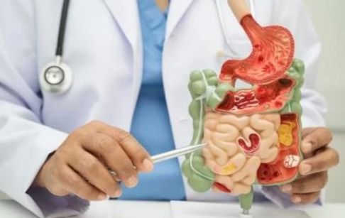 Promotie drs. Willemijn Faber - neurogene darmproblemen bij dwarslaesie en multiple sclerose: prevalentie, voeding en microbioom interventies