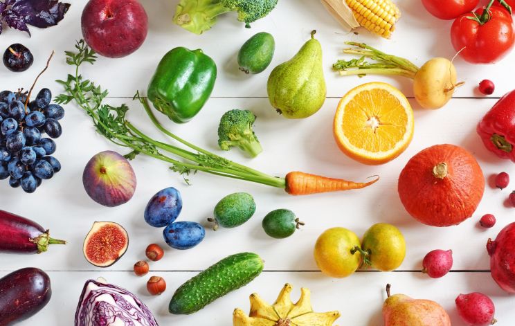 MOOCs | online cursussen van Wageningen University & Research